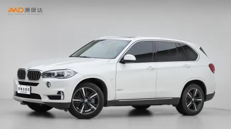 二手宝马X5 xDrive35i 典雅型