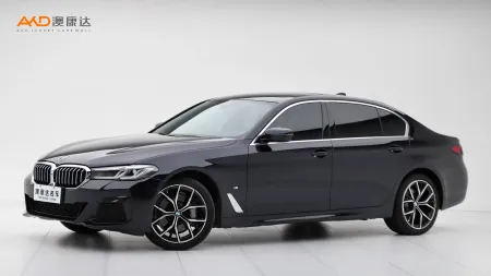 二手宝马530Li 尊享型 M运动套装