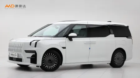 二手极氪009 WE版