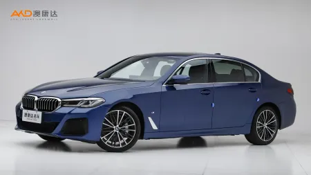 二手宝马530Li 领先型 M运动套装