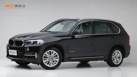 二手宝马X5 xDrive35i 领先型