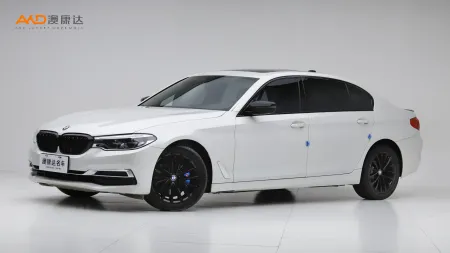 二手宝马530Li 领先型 豪华套装