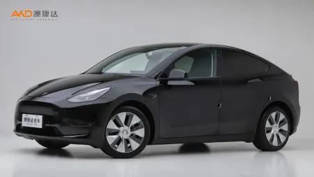 二手特斯拉Model Y 标准续航后驱版