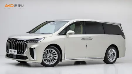 二手岚图梦想家 PHEV 超长续航尊贵版