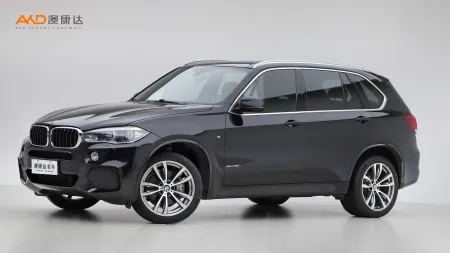 二手宝马X5 xDrive35i M豪华运动型