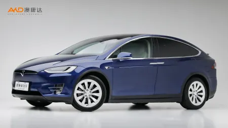 二手特斯拉Model X 100D 长续航版