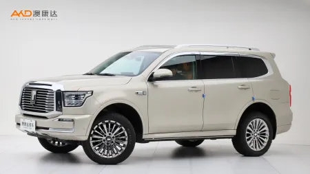 二手坦克500 3.0T 商务版 造境型 5座