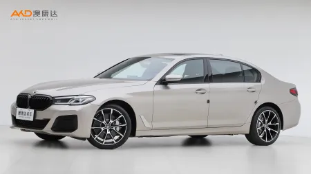 二手宝马530Li 改款 尊享型 豪华套装