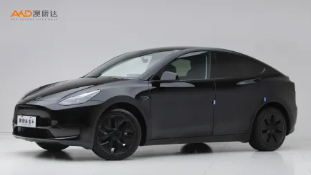 二手特斯拉Model Y 后轮驱动版