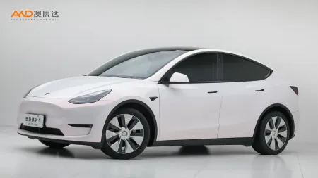 二手特斯拉Model Y 标准续航后驱版