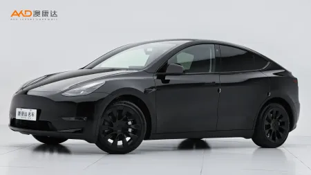 二手特斯拉Model Y 标准续航后驱版