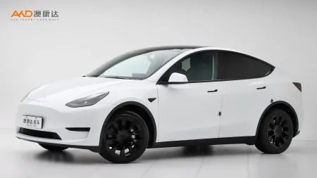 二手特斯拉Model Y 后轮驱动版