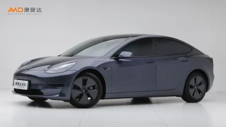 二手特斯拉Model 3 标准续航后驱升级版