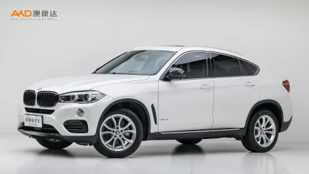 二手宝马X6 xDrive28i