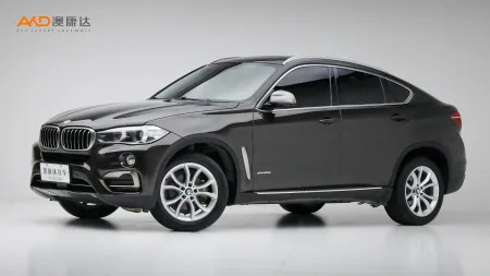 二手宝马X6  xDrive28i