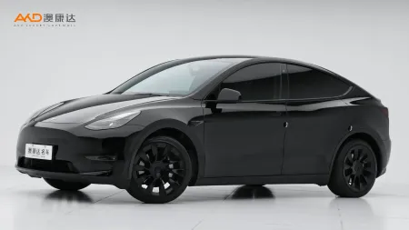 二手特斯拉Model Y 标准续航后驱版