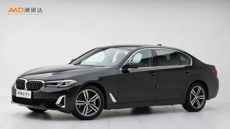 二手宝马530Li 领先型 豪华套装