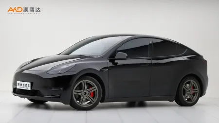 二手特斯拉Model Y Performance高性能全轮驱动版