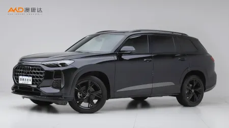 二手奥迪Q6 50TFSI quattro 黑武士版